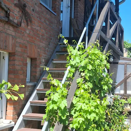 Apartment Gästewohnung Langer